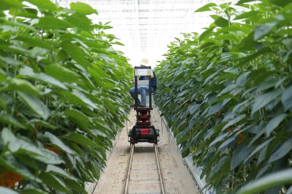 smart farming smart business 100
